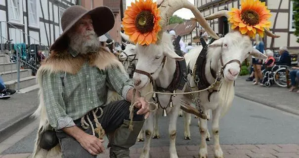 Lägenhet As-ferienwohnung Korbach
